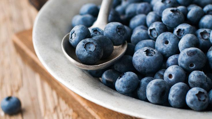 Blueberry Dapat Digunakan Untuk Melawan Alzheimer